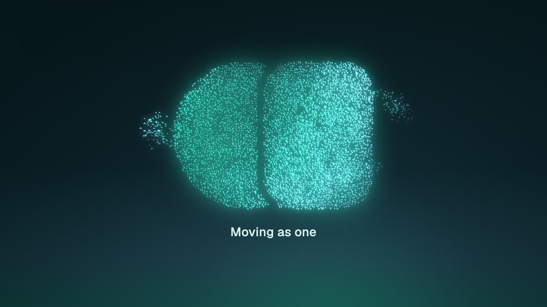 Murmuration preview