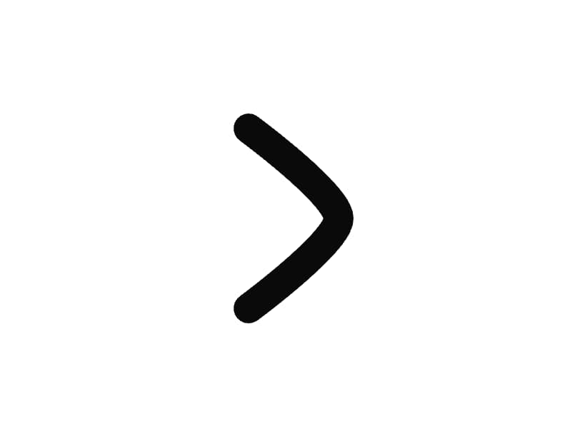 Chevron Right Icon preview