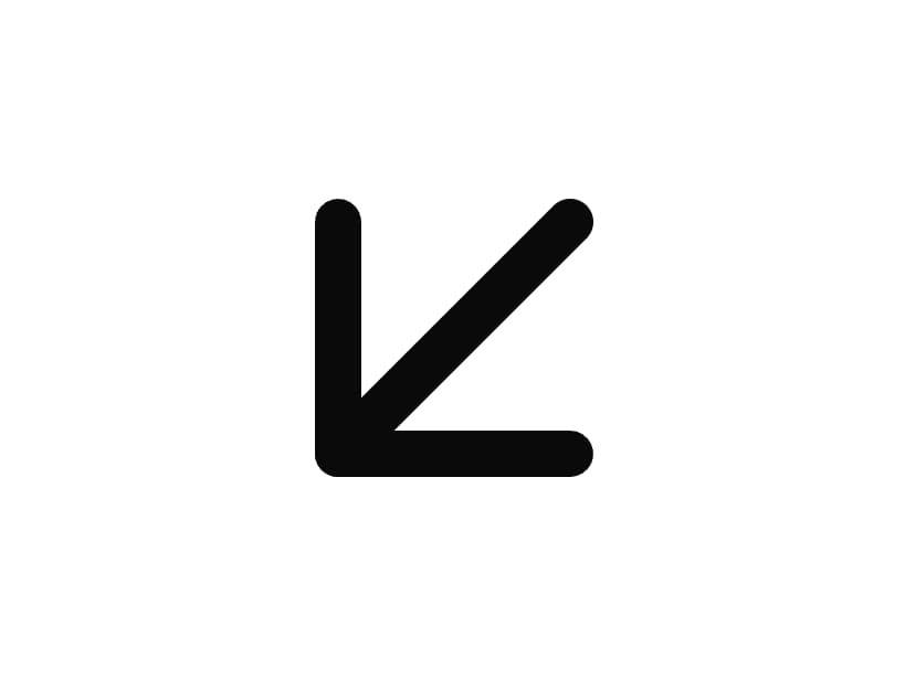 Arrow Down Left Icon preview