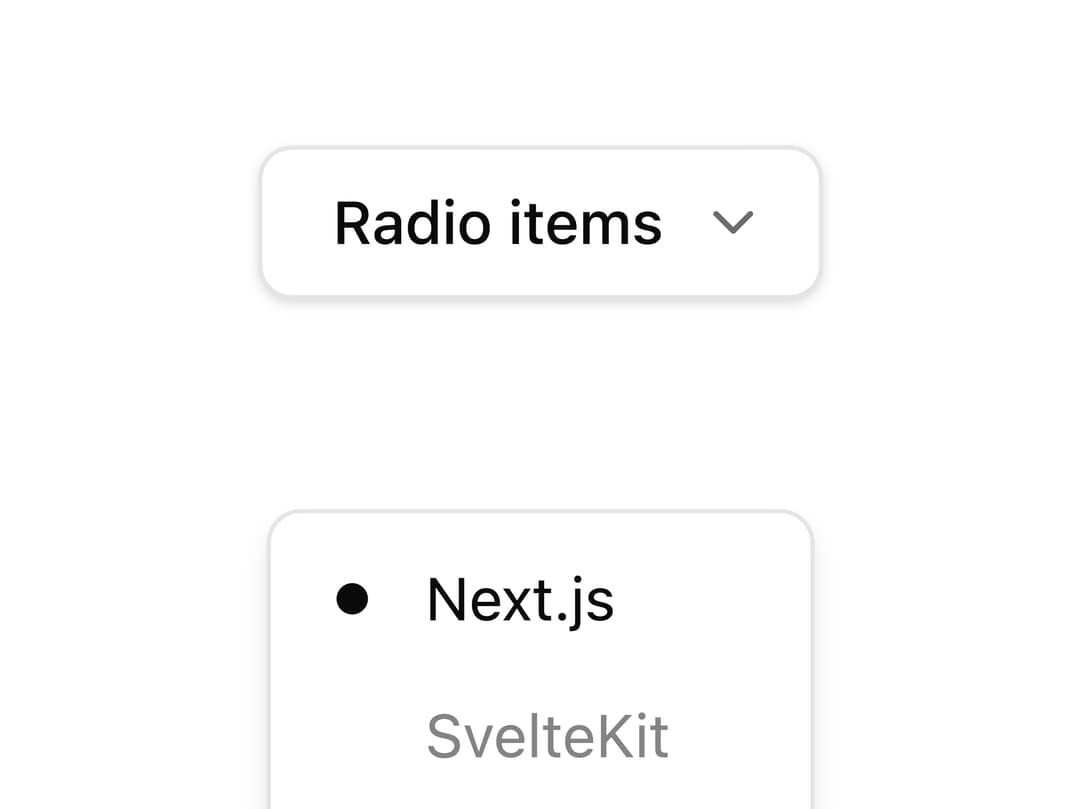 Dropdown Menu with Radio Items preview