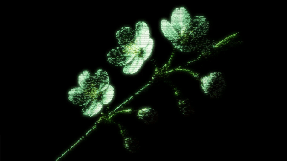 ascii flower preview