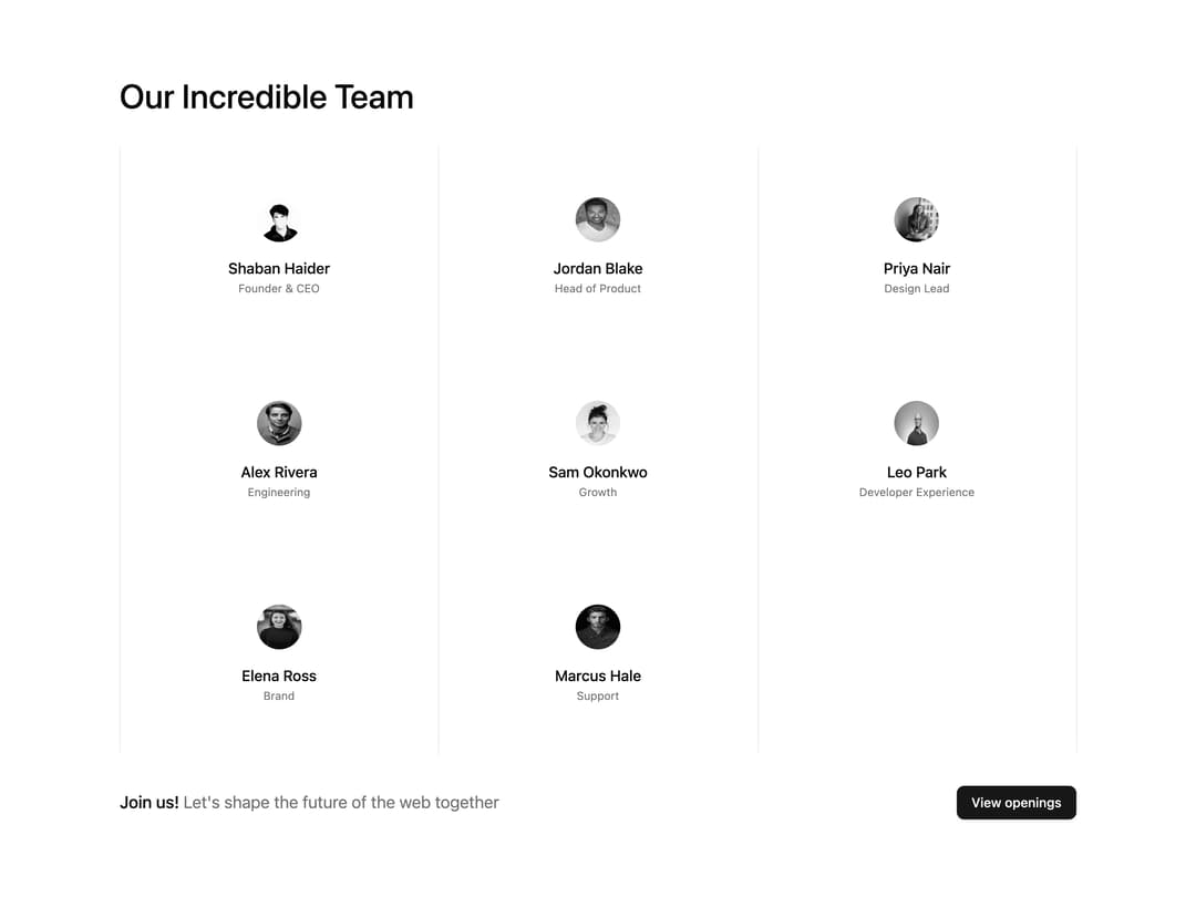 Team Section preview