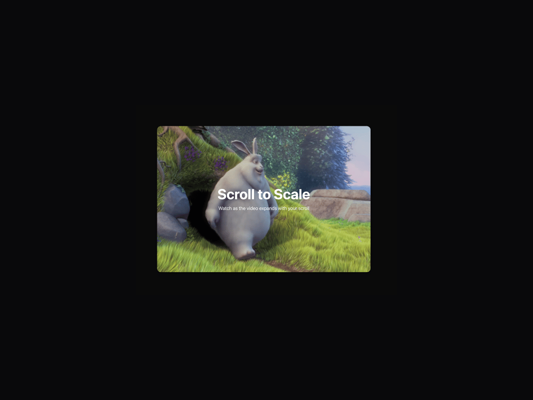 Video Scroll Hero preview
