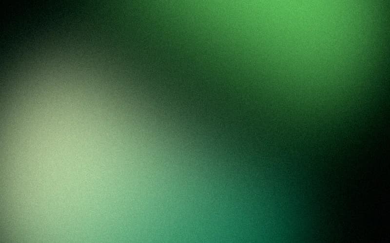 test preview