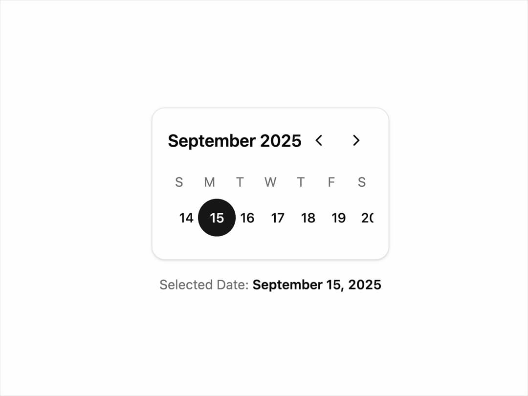 Date Picker preview