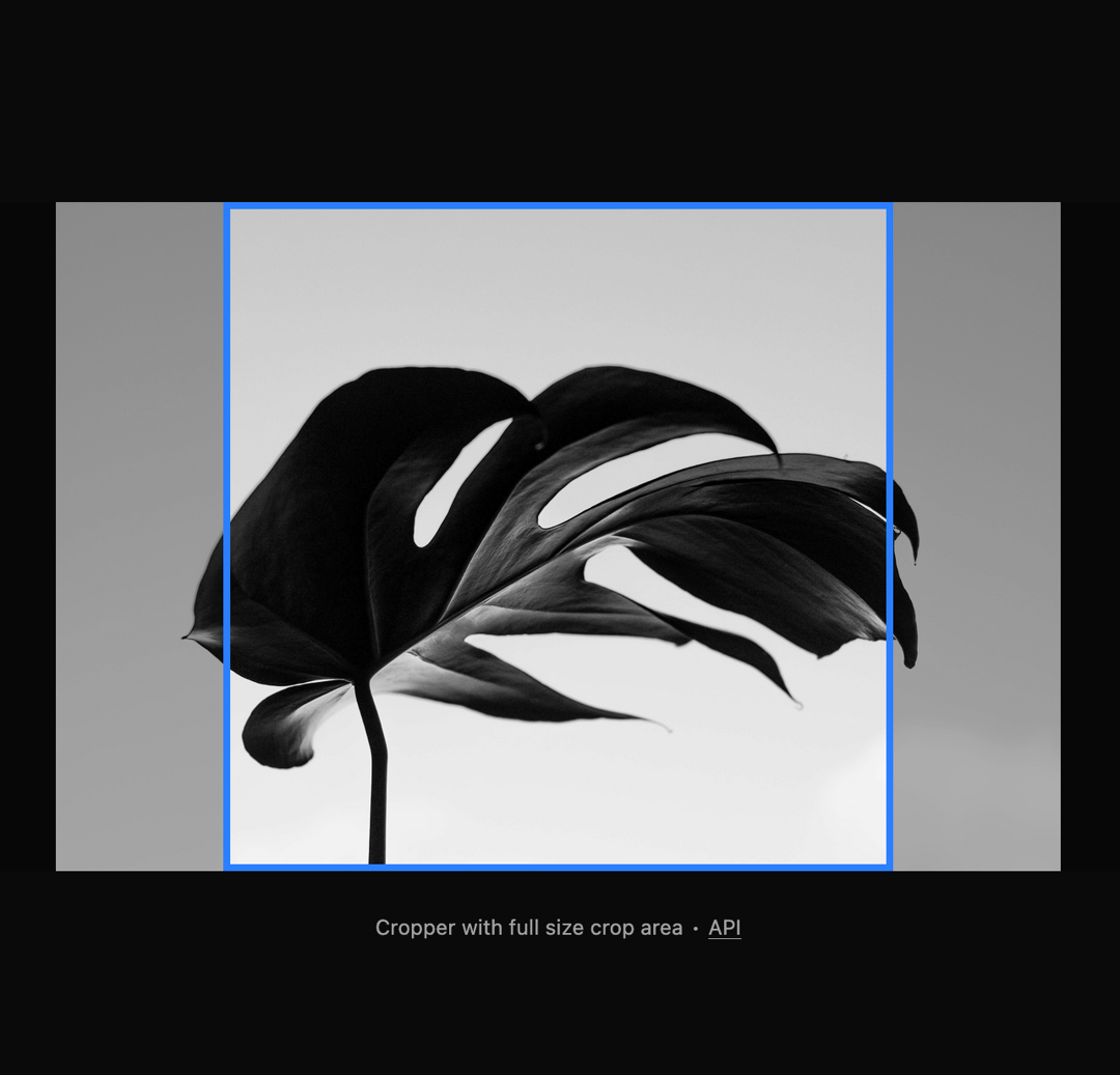 Image Crop preview