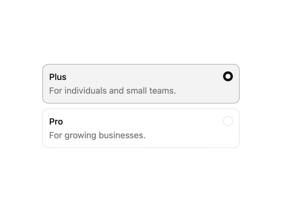 ReUI Radio Group preview