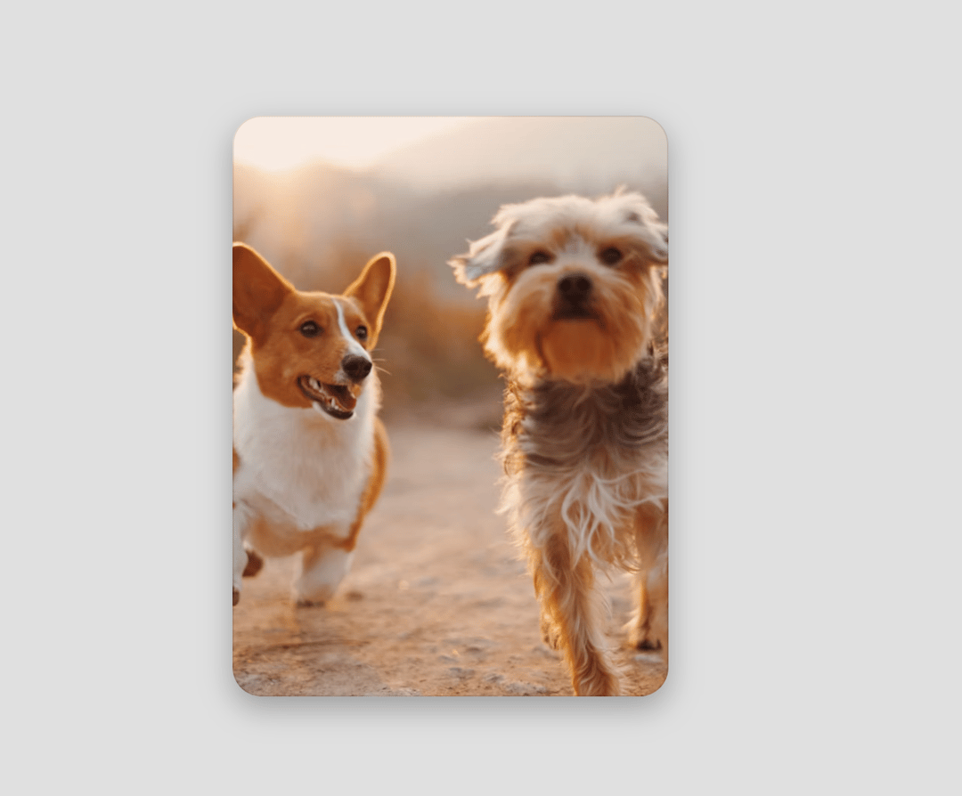 Tinder Like Swipe preview