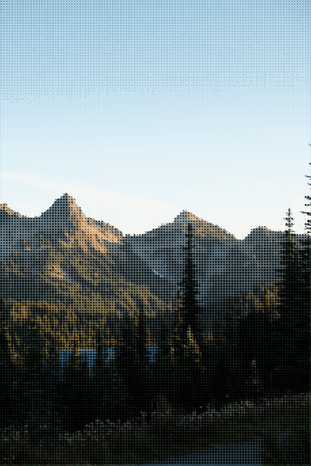 Forest preview
