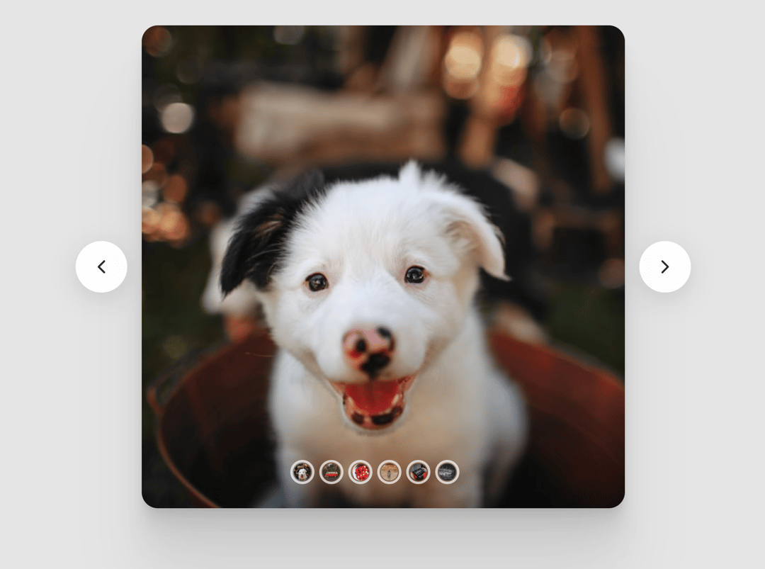 Carousel Circular Image Gallery preview