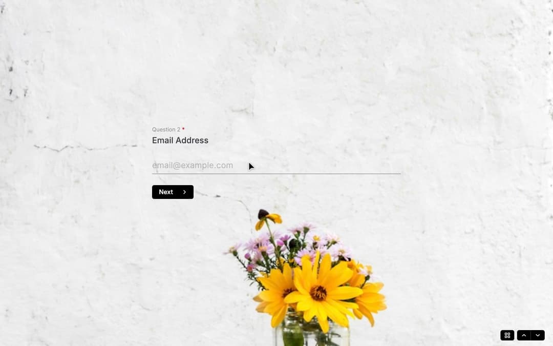 HeyForm preview