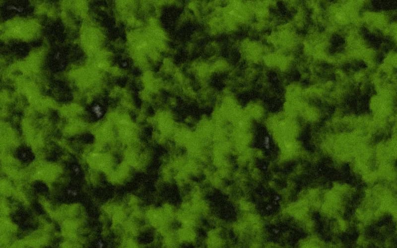 Perlin Noise · Worms preview
