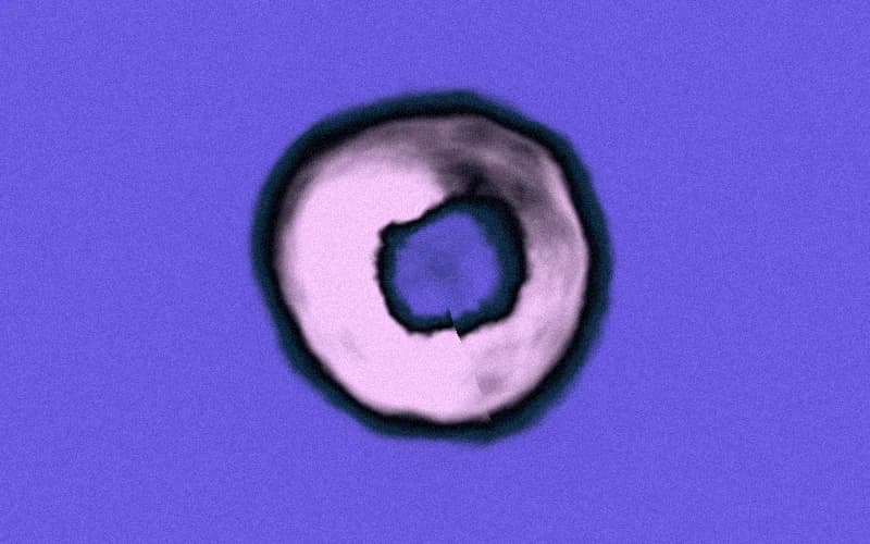 Smoke Ring · Cloud preview