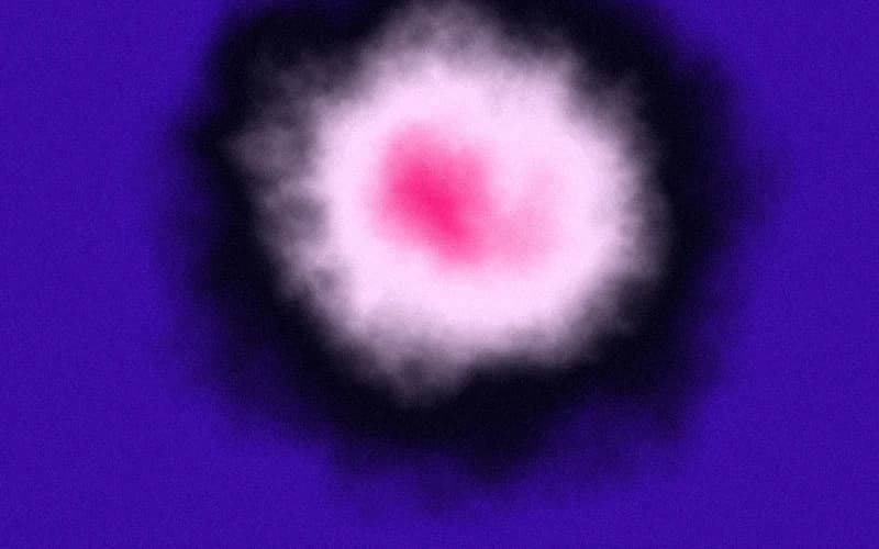Static Radial Gradient · Cross Section preview
