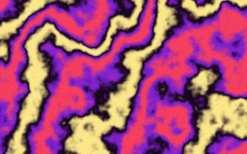 Warp · Kelp preview
