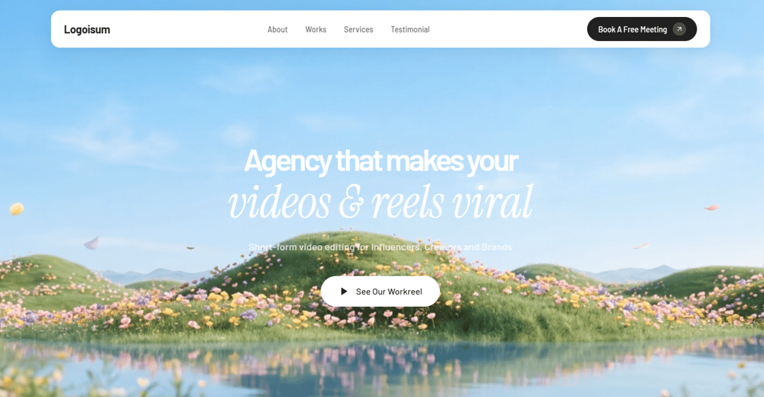 AgencyViralHero preview