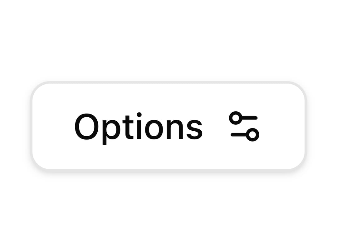 Outline Button With Icon preview
