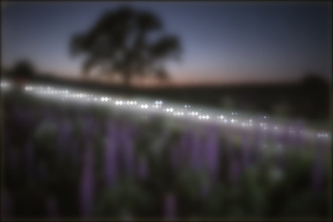 Amber Dusk preview