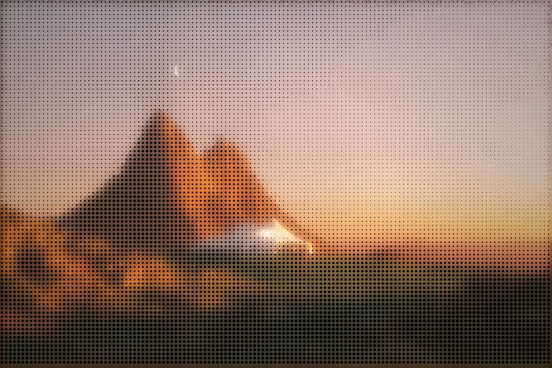 First Light preview