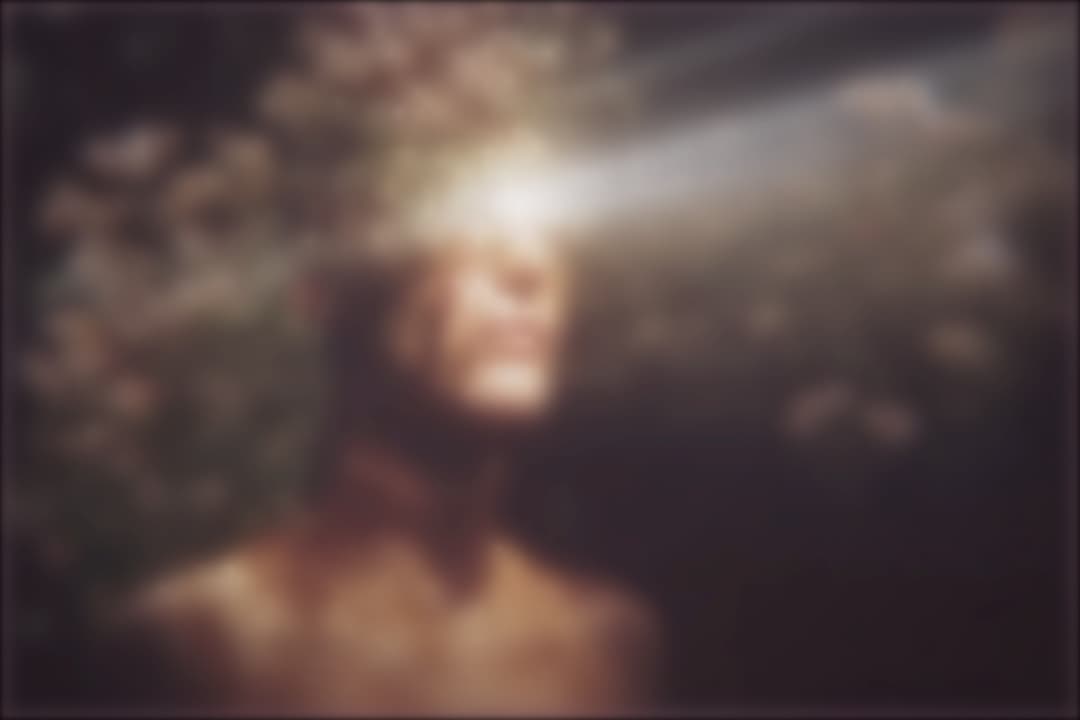 Reverie preview