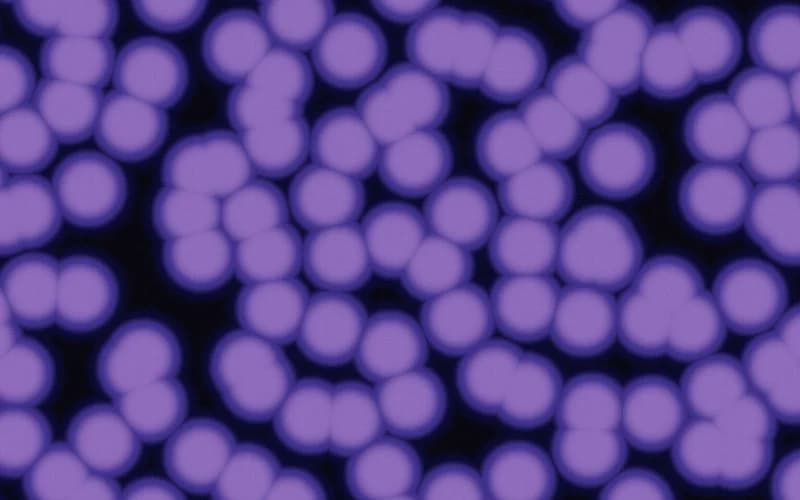 Violet Plasma preview