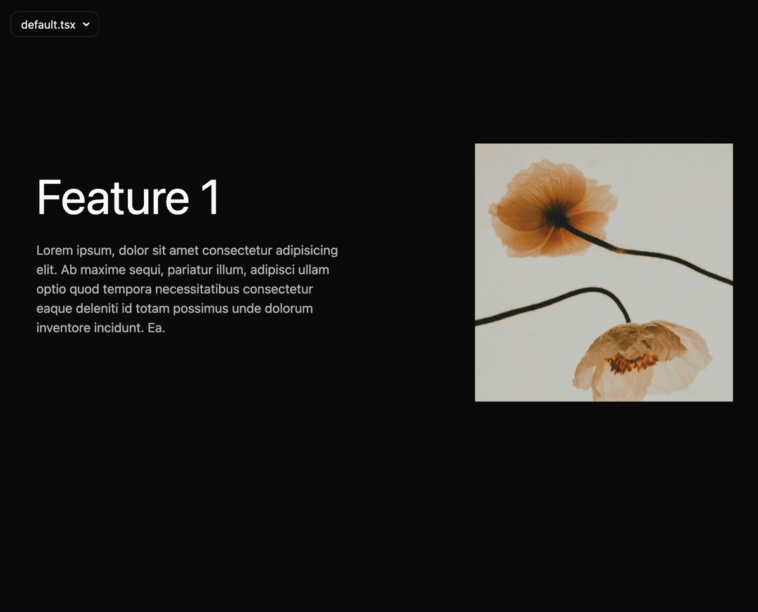 PARALLAX SCROLL FEATURE SECTION preview