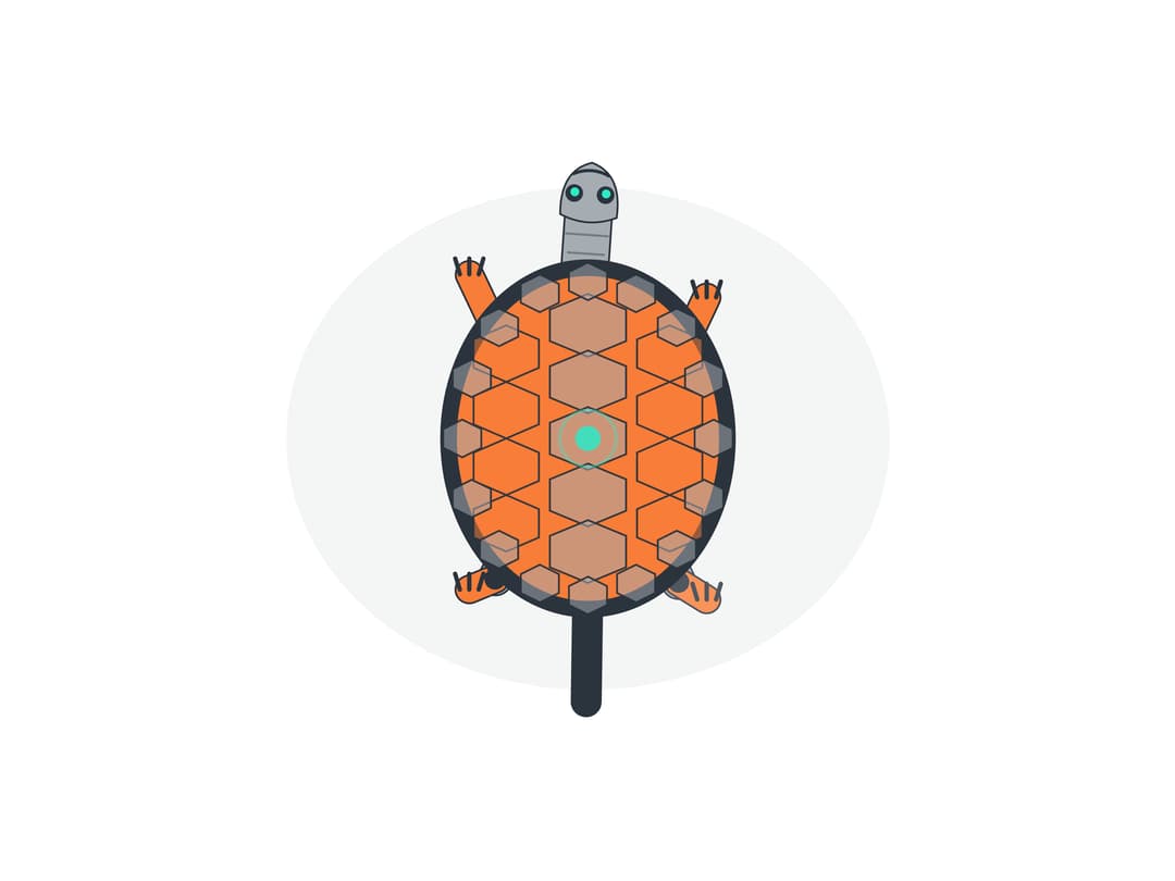 Robot Turtle preview