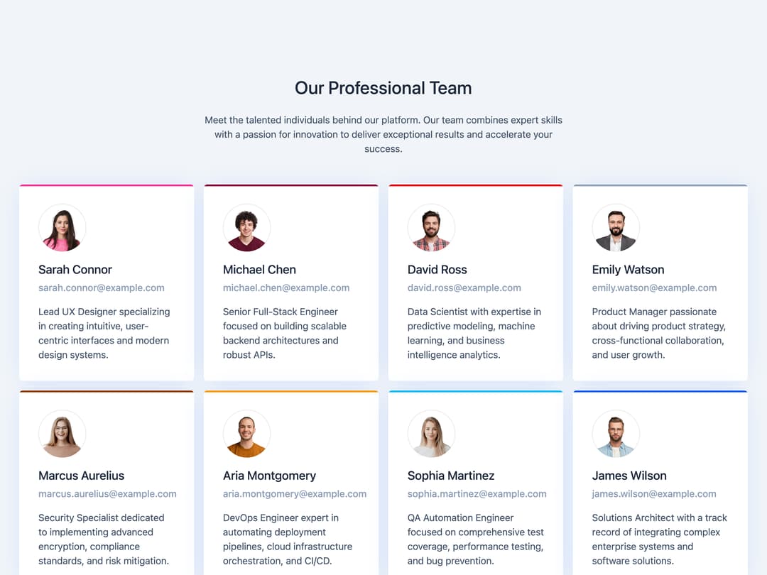 Professional Team Grid preview