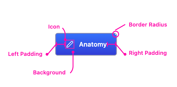 anatomy button preview