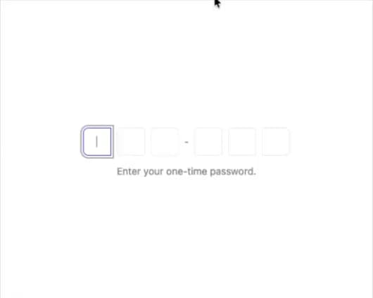 Input OTP preview