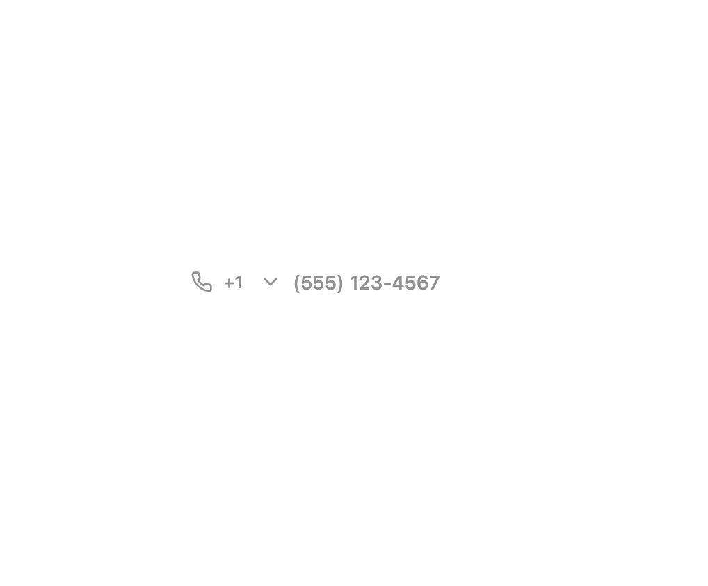Phone Input preview