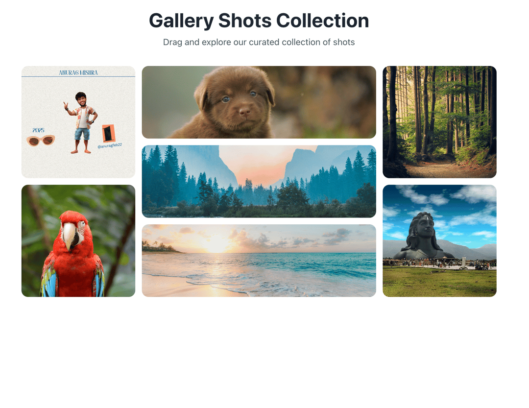 Interactive Bento Gallery preview