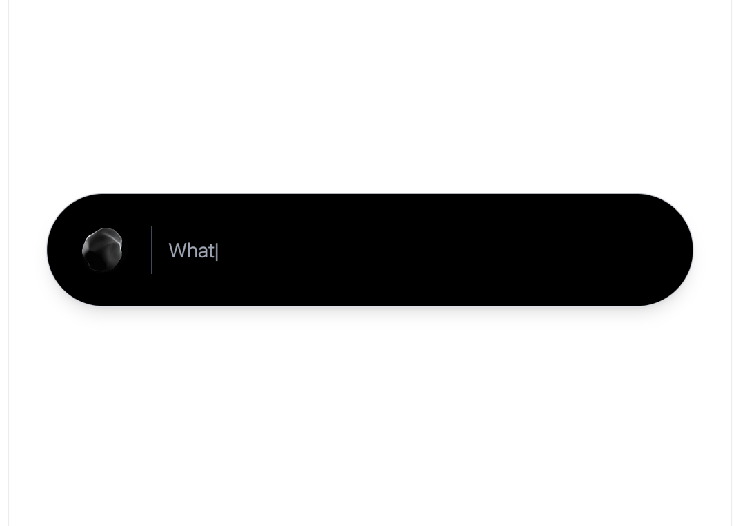Animated Input preview