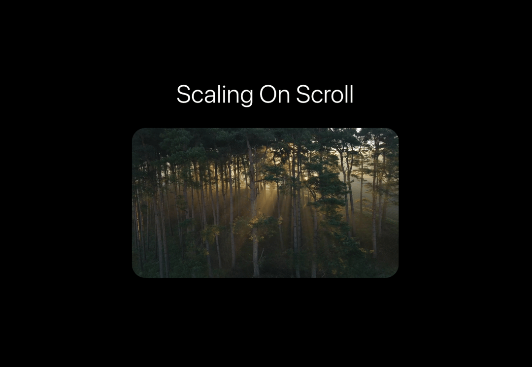 Scaling On Scroll preview