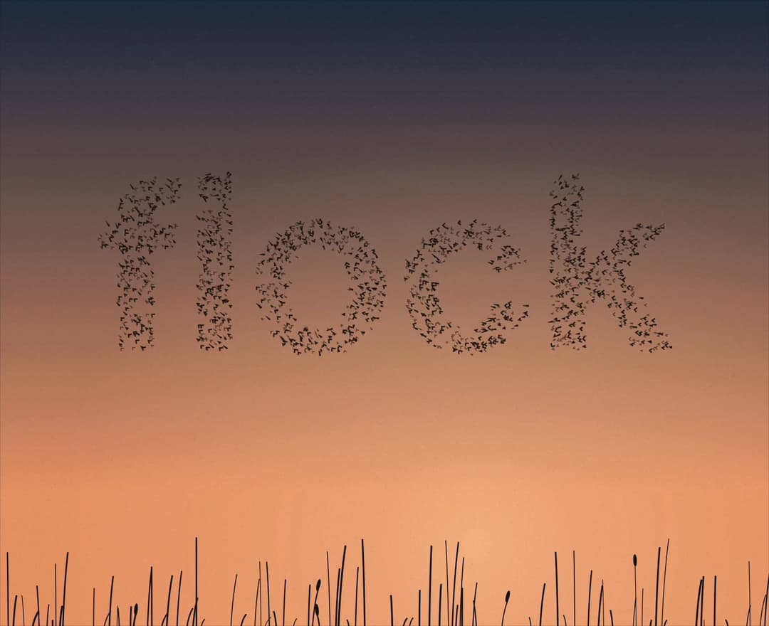 Bird Murmuration Text Animation preview