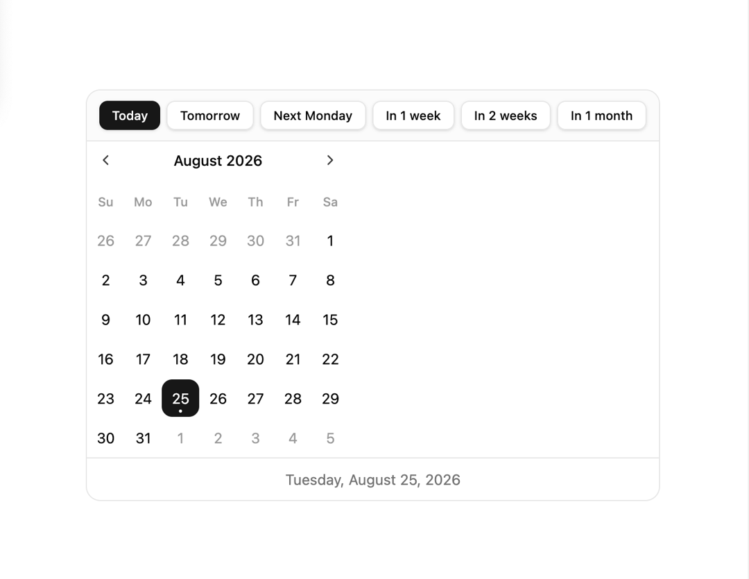 Date Picker with Presets preview