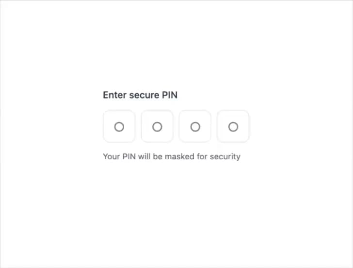 Pin Input preview