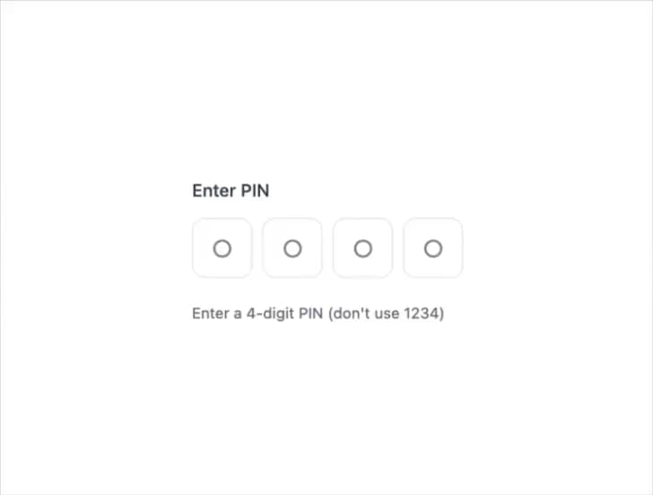 Pin Input preview