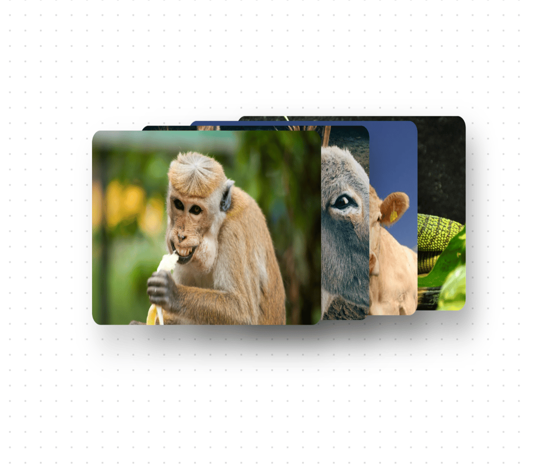 3D Flip Card preview