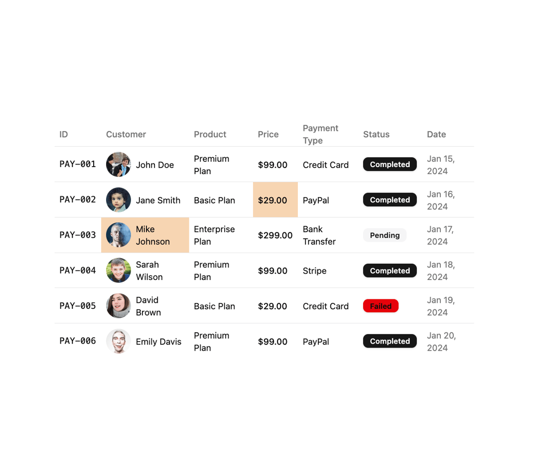 Payments Table with Cell Selection preview