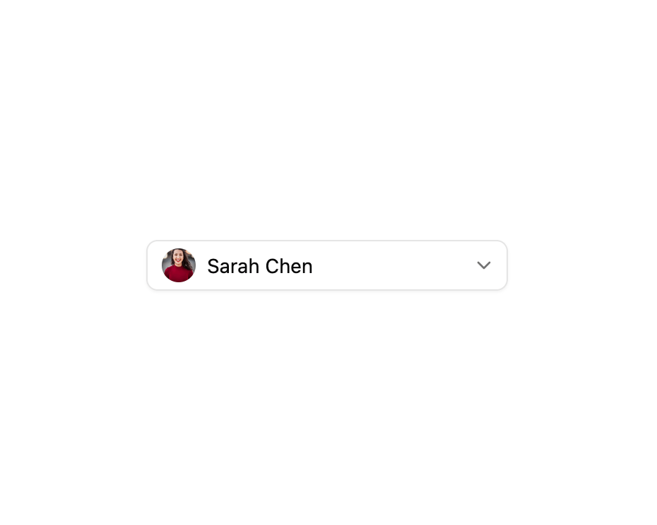Select with Avatar preview