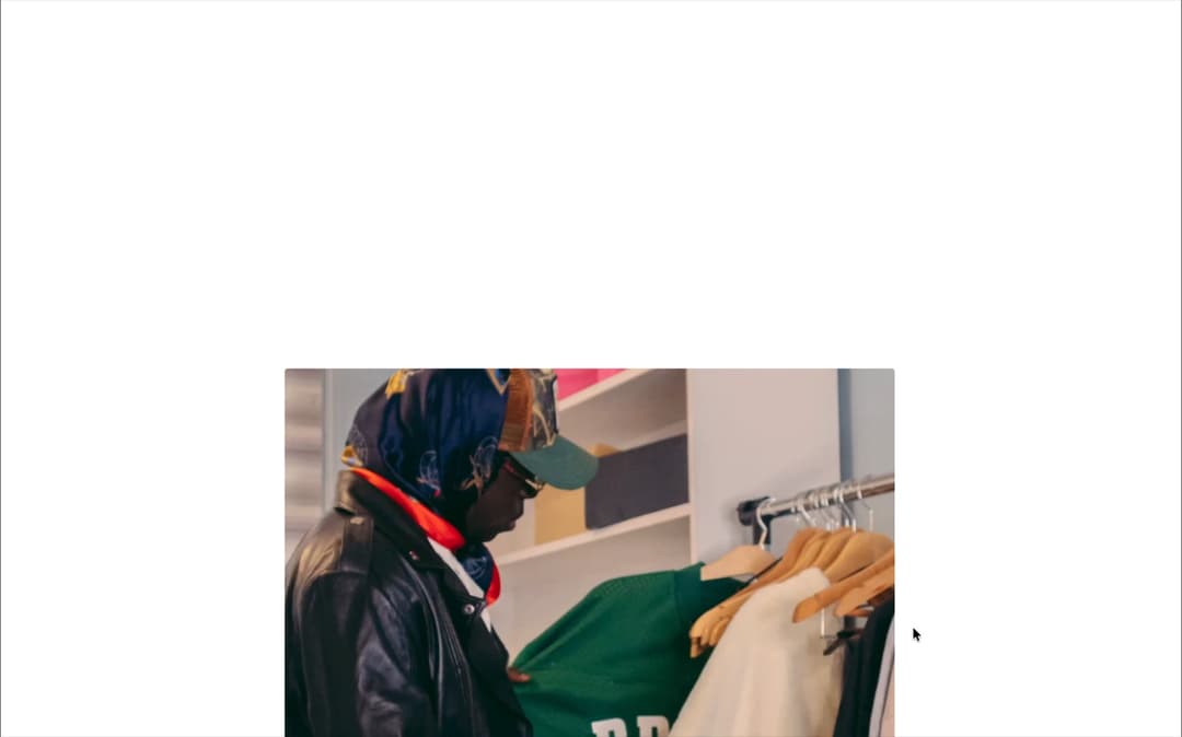 Scroll Reveal Image preview