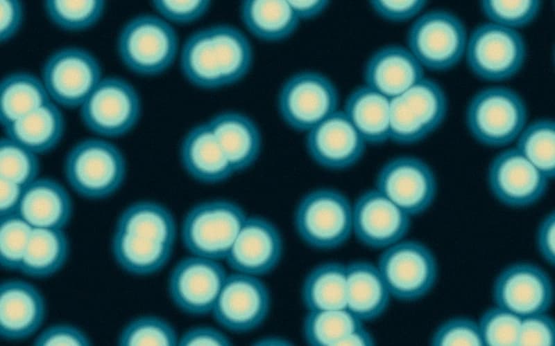 Caustics Shader preview