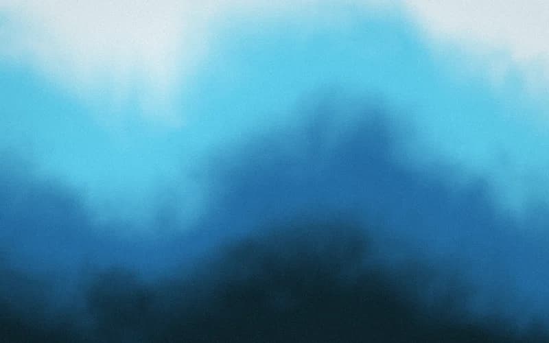 test preview