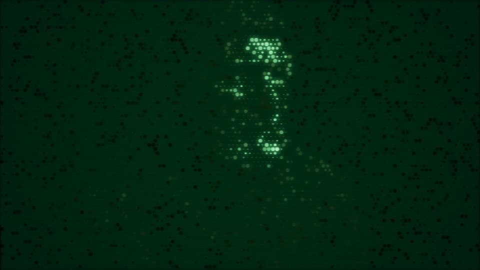 dd preview