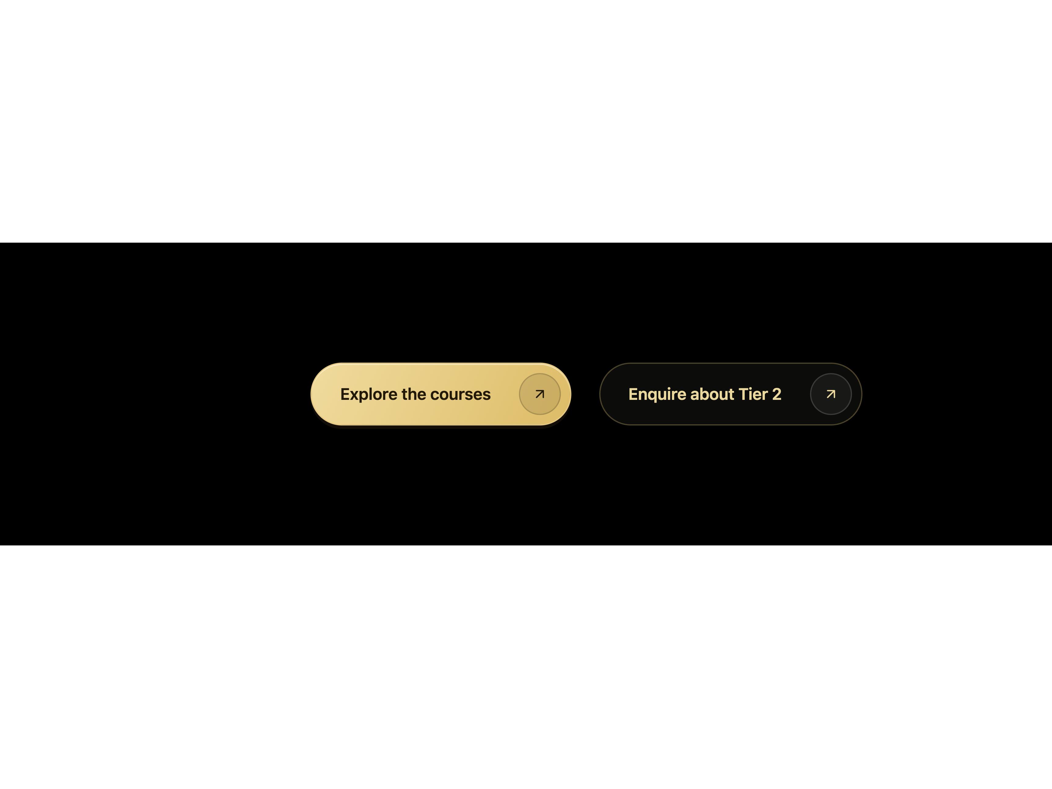 Gold Sheen Magnetic Button