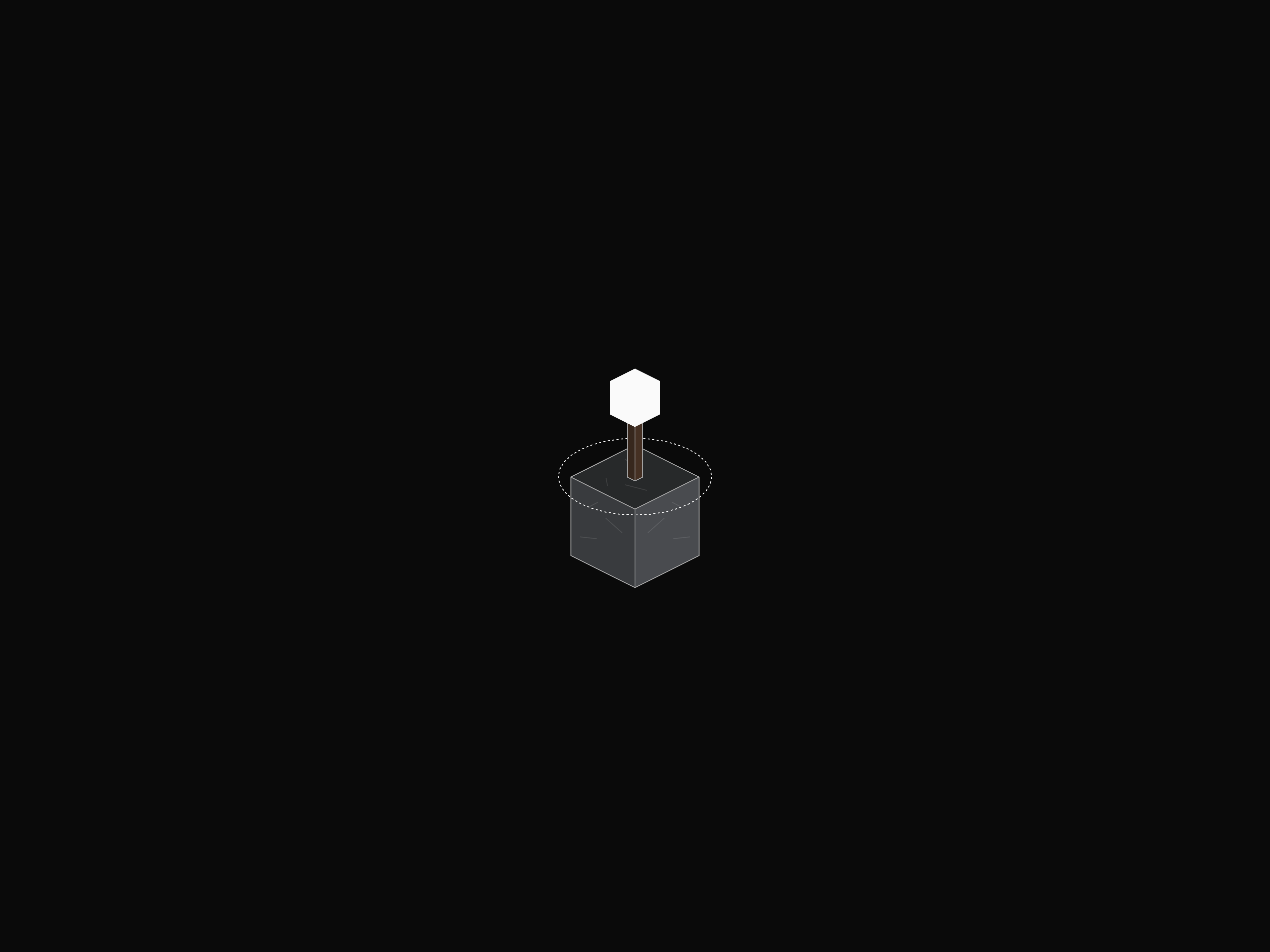 Torch