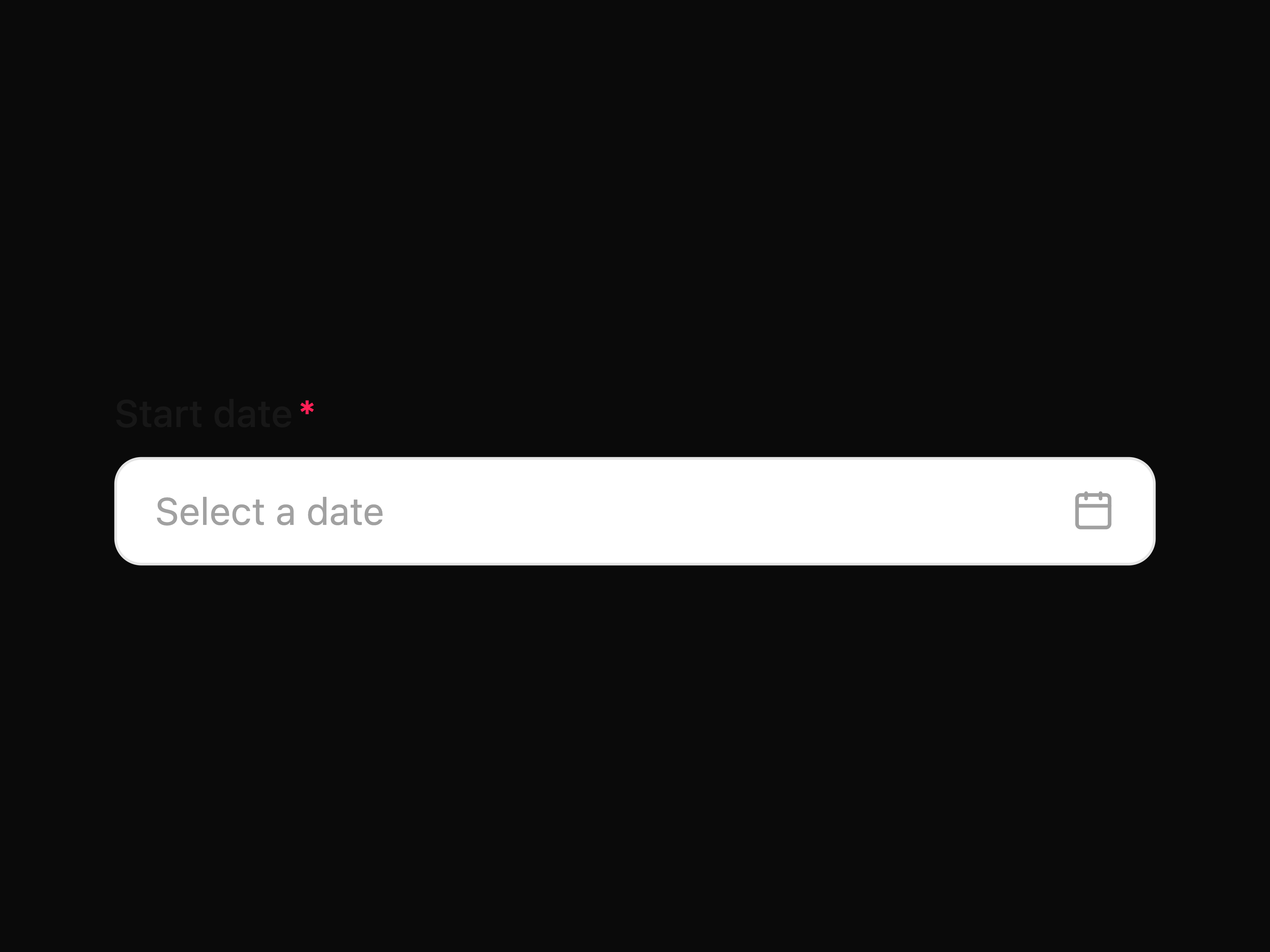 Date Field Input