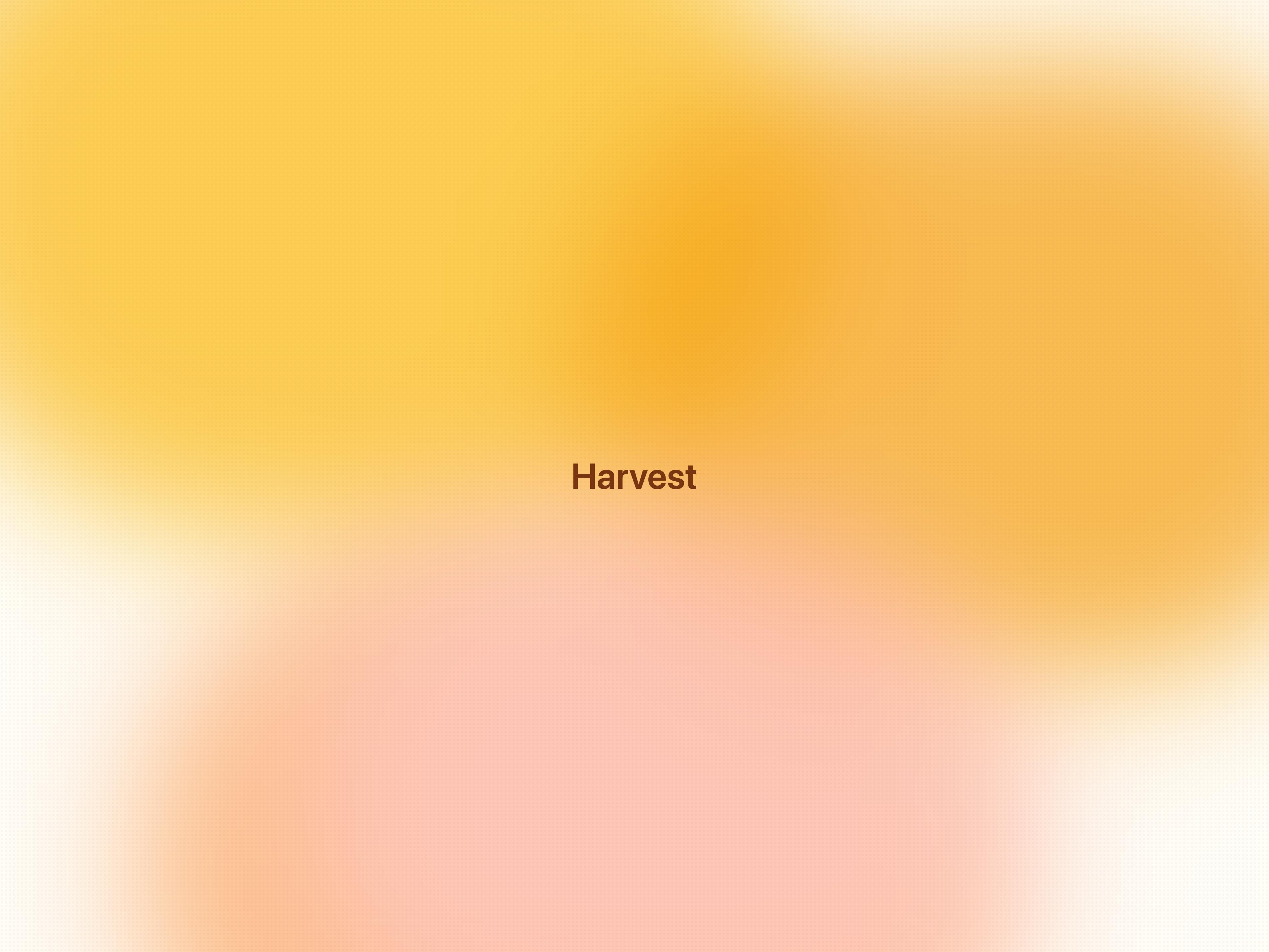 Honey Ember Background