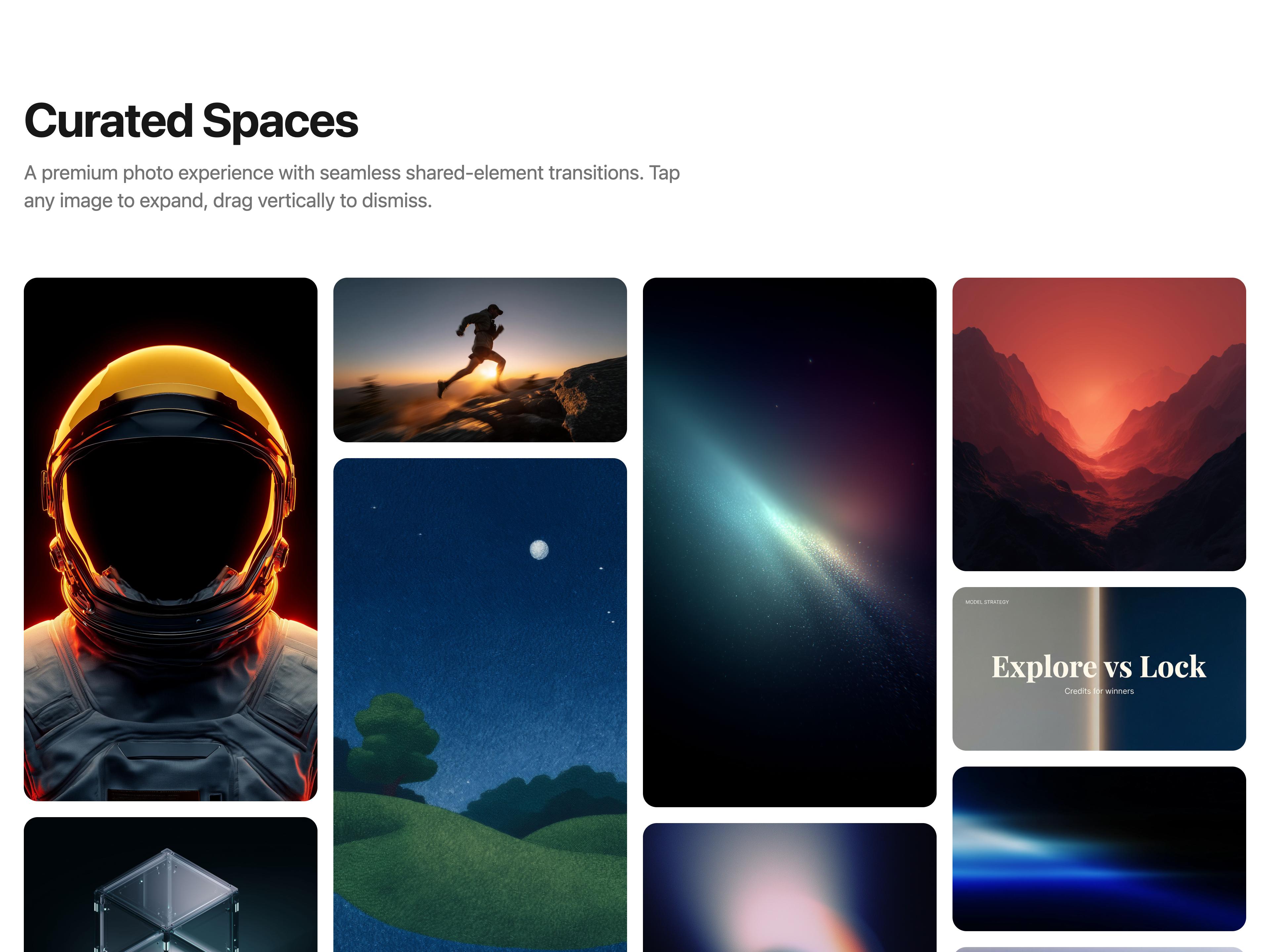 Shared Element Gallery